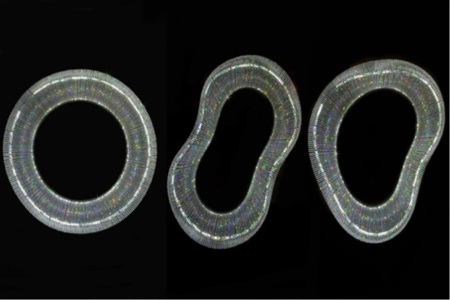 collageshapes.jpg
