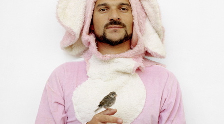 bird_2.jpg