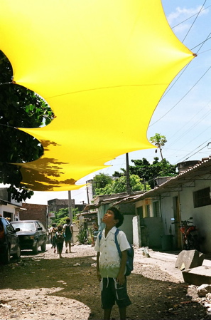 canopy_small.jpg