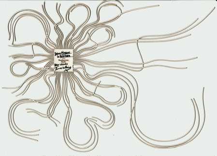 scan_back_grey.jpg