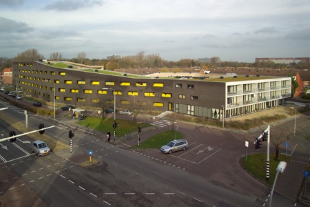 061124-salamander-450-02.jpg