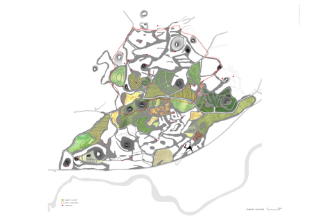 p35.jpg