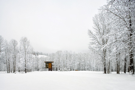unknown-10.jpg