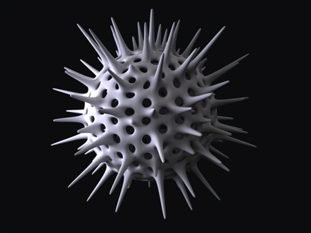 foc-cambrian.jpg