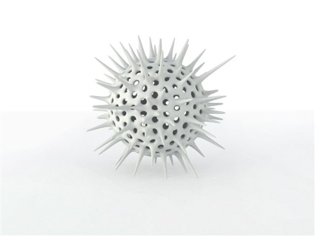 foc-cambrian2.jpg
