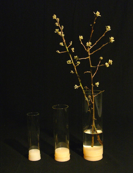 open-ended-collection-1.jpg