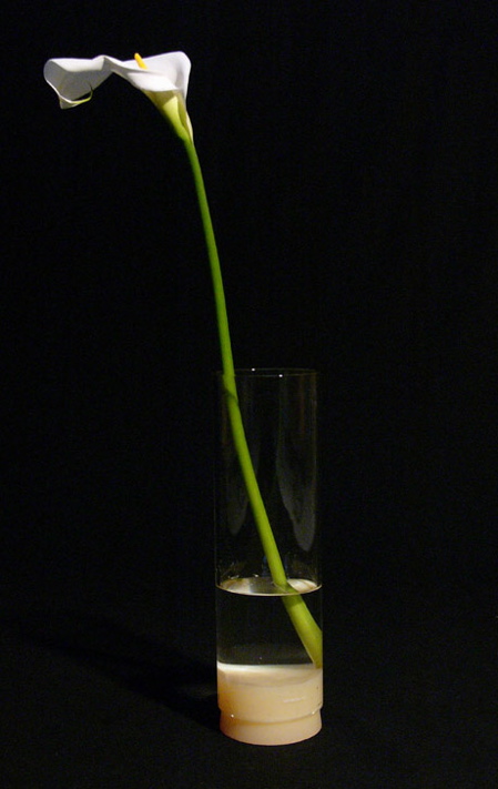 open-ended-vase.jpg