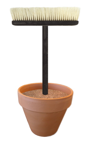 potted-jewels.jpg
