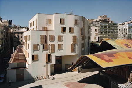 244.jpg