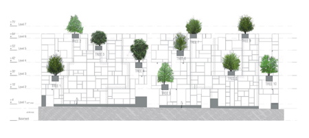 tree.jpg