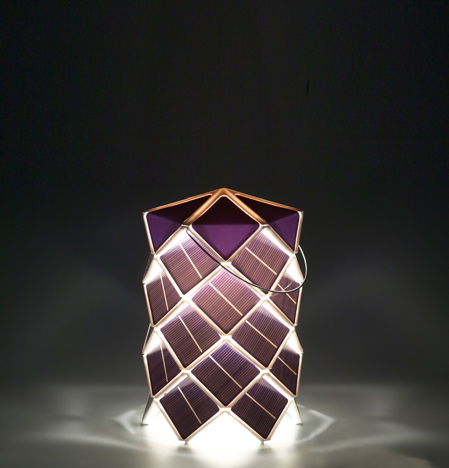 damian_osullivan_solarlampion_2-1.jpg