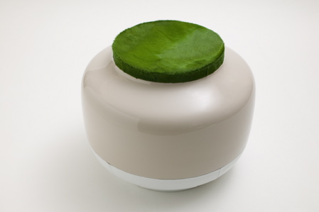 pooff-e-vaso.jpg