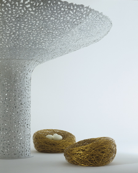 salvetti_albero02.jpg