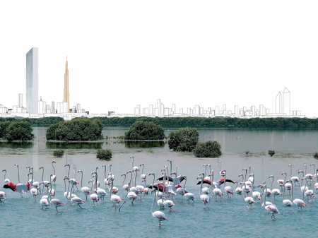 birds.jpg