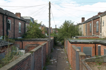 chim_006.jpg