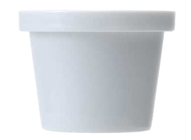 container.jpg