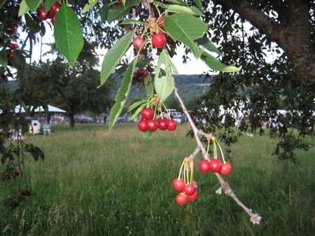 img_0534.jpg