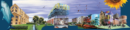 newi_600.jpg