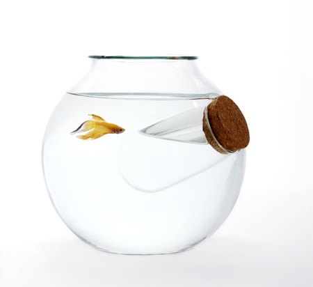 web-fishbowl-chill-out-warm-up.jpg