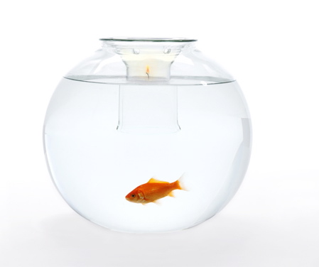 web-fishbowl-under-candle-light.jpg