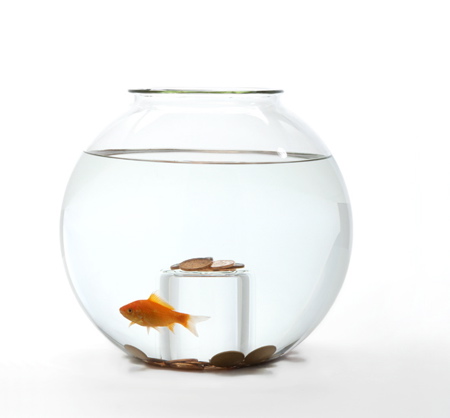 web-fishbowl-wishing-well.jpg