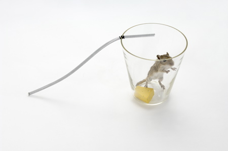 mouse-in-a-planting-pot-3.jpg