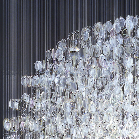 optical_1_large_clear2sq.jpg