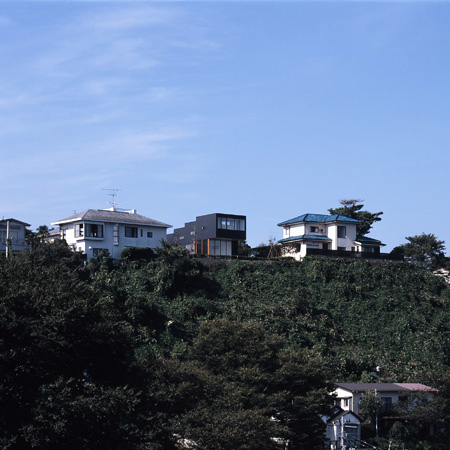 06.jpg