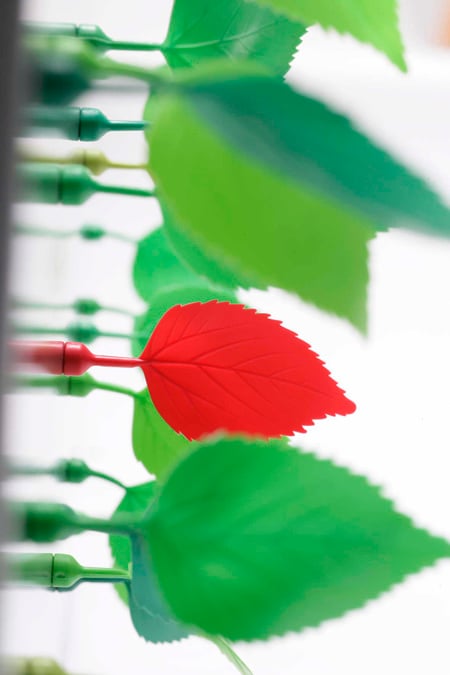 rh_gispen_leaves3.jpg