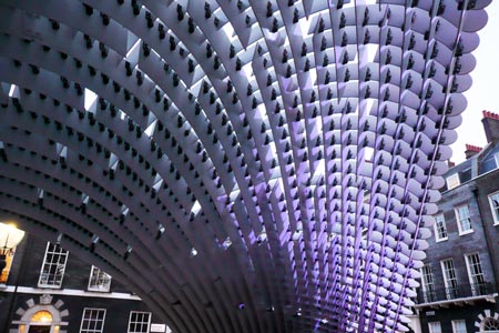 canopy_large.jpg