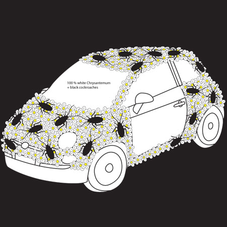 flower-car-studio-jobsq.jpg