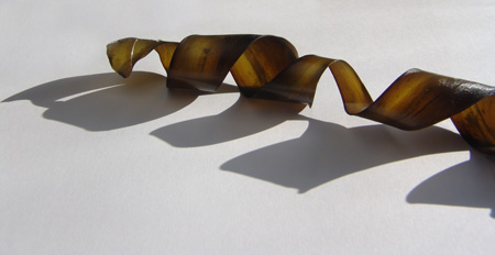 kelpdetail1.jpg