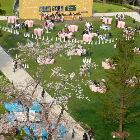 p1000764.jpg