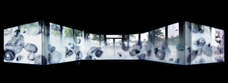 f_facade-01.jpg
