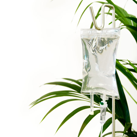 iv_bag_close-up.jpg