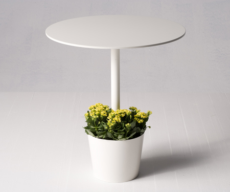 little-garden.jpg