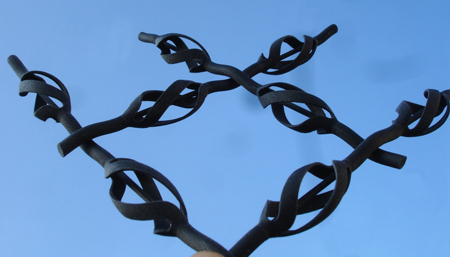 nvs_model_005-1a.jpg
