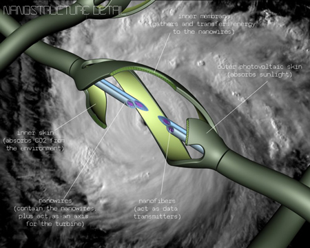 nvs_structure_detail_1.jpg