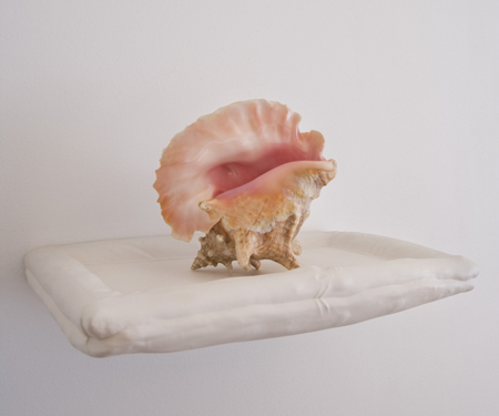 soft-shelve.jpg
