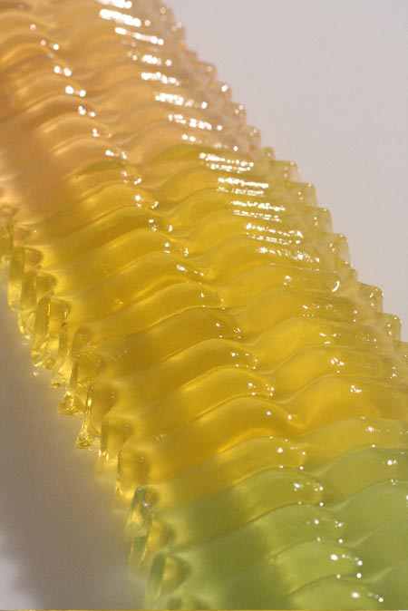 architectural-jelly-competition-results_rogers_02s.jpg
