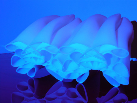 patternity-by-frank-minnaertp1010052-low-res.jpg