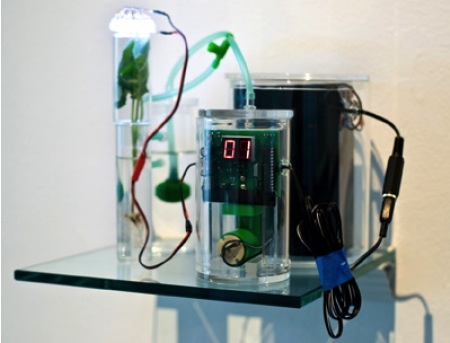 1-water-450.jpg