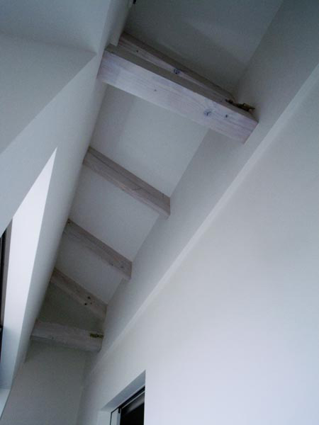 lightwell-house-by-kimizuka-architects-ak6.jpg