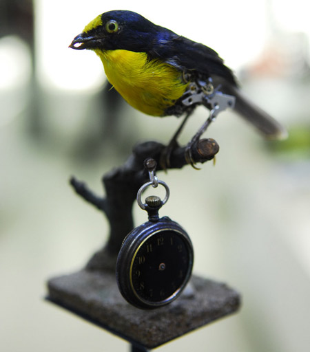 natural-history-kelly-mccallum-ant_2c808c.jpg