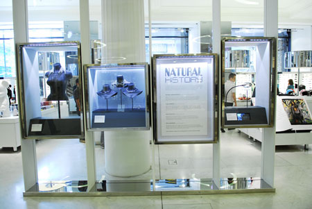 natural-history_august-2008.jpg