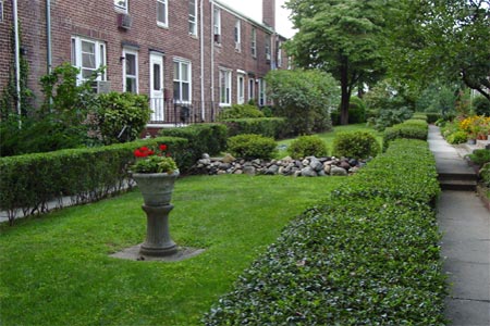 site_pic41.jpg