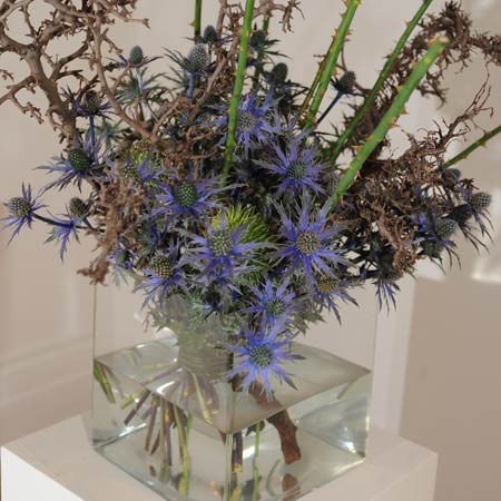 bouquet-of-anger.jpg