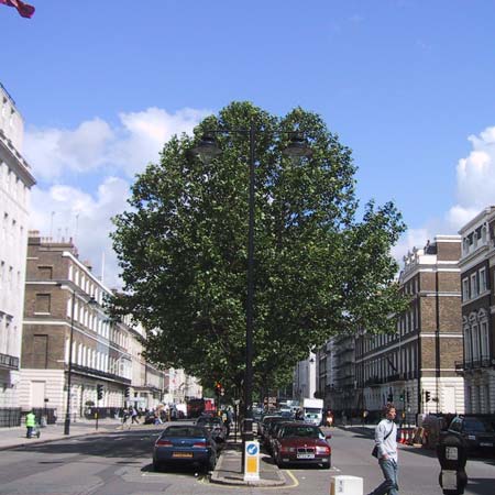 portlandplace.jpg