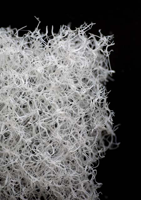 02-process-experiment.jpg