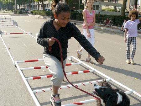 dogs-at-droog-citydog1.jpg